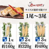 土佐の清流うなぎ 白焼きセット ＜匹数：1~3尾　量：160~480g＞