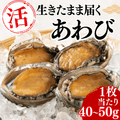 【Processed】Skinless, Desalted Herring Roe <Quantity: 500g-1kg>