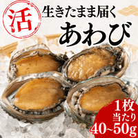 【Processed】Skinless, Desalted Herring Roe <Quantity: 500g-1kg>