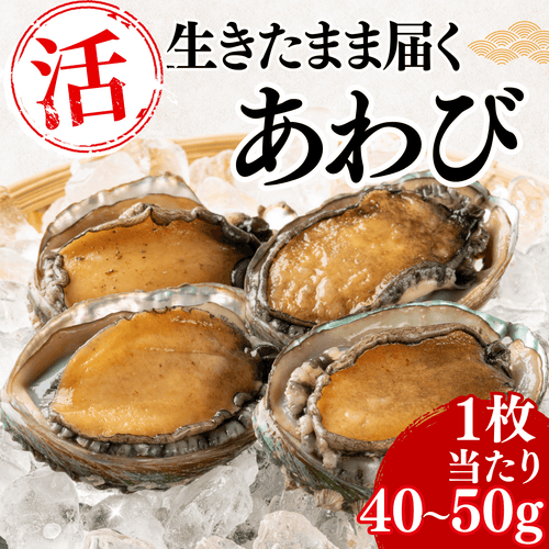 【活き】あわび　＜1枚：40～50g＞