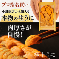 【冷蔵】生うに　小川商店　＜1箱：60g＞