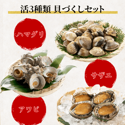 【BBQセット/貝づくし】ハマグリ/サザエ/あわび