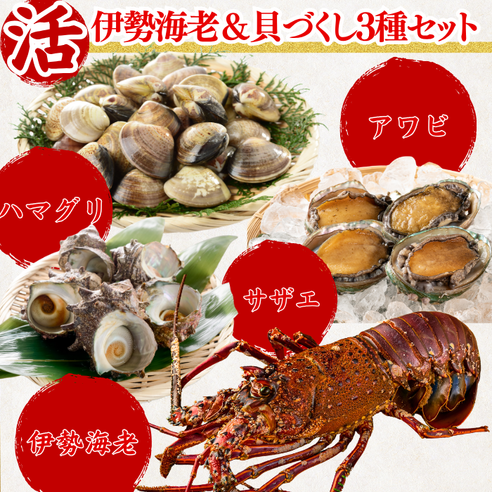 活き 伊勢海老＆貝づくし3種セット アワビ ハマグリ サザエ