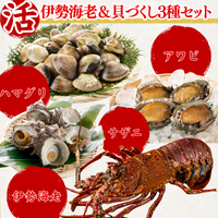 活き 伊勢海老＆貝づくし3種セット アワビ ハマグリ サザエ