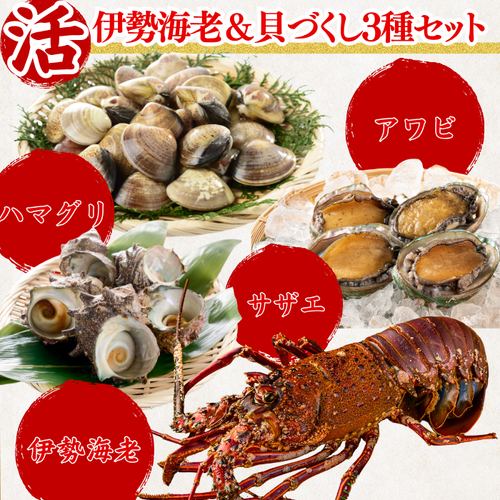 活き 伊勢海老＆貝づくし3種セット アワビ ハマグリ サザエ
