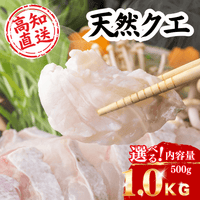 高知直送 天然クエ 鍋 内容量500g〜1.0kg 選べる