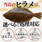 Flounder <1 fish, 800g> Gutting options available