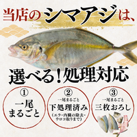 シマアジ ＜一本　量：1.1kg前後＞　下処理方法選べます