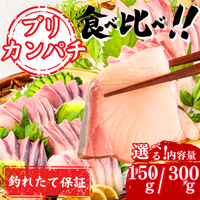 Striped Jack Sashimi ＜1 block, Net Wt. 150g＞
