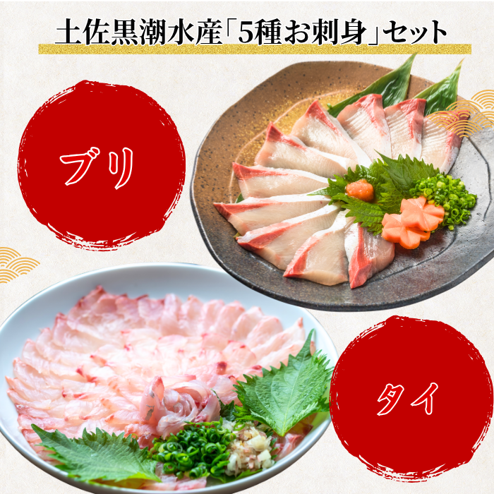 【お刺身セット5種】生カツオのタタキ(1節 or 半節)+ブリ/タイ/シマアジ/ヒラメ(各柵150g)