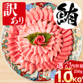 Striped Jack Sashimi ＜1 block, Net Wt. 150g＞