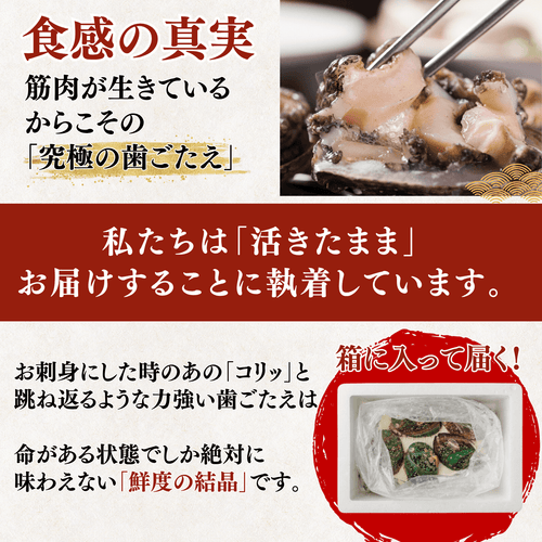 【Processed】Skinless, Desalted Herring Roe <Quantity: 500g-1kg>