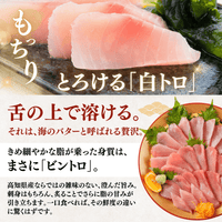 Striped Jack Sashimi ＜1 block, Net Wt. 150g＞