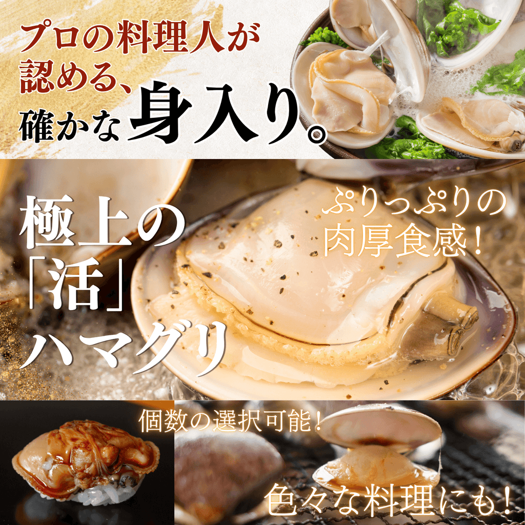 【活き】ハマグリ　＜1枚：40g程＞