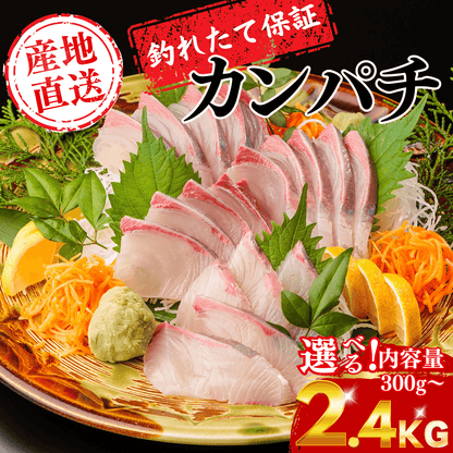 カンパチ ＜刺身1柵　量：300g＞