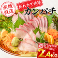 Greater Amberjack Sashimi Block: 300g