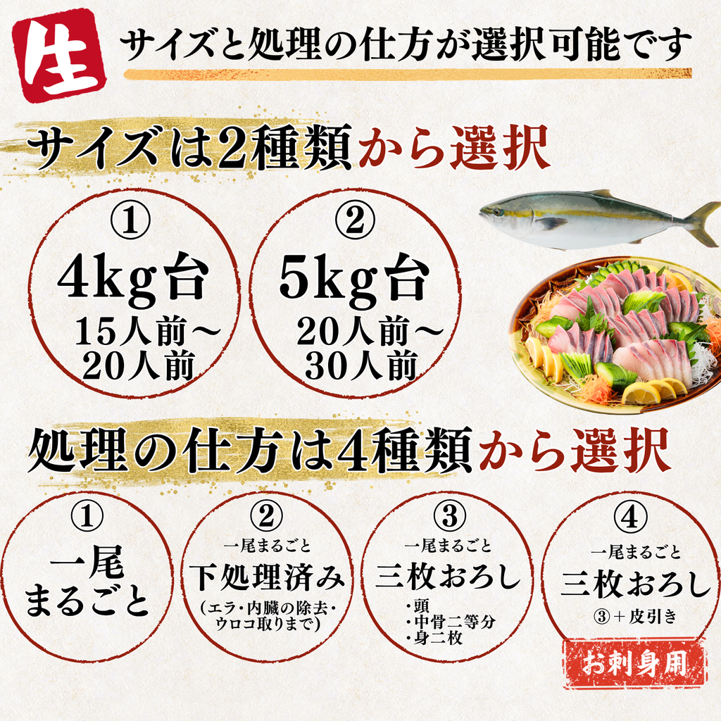 【活〆／下処理対応可能】ブリ ＜一本　量：4～5kg＞