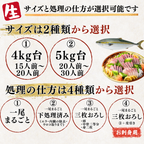 【活〆／下処理対応可能】ブリ ＜一本　量：4～5kg＞
