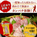 Greater Amberjack Sashimi Block: 300g