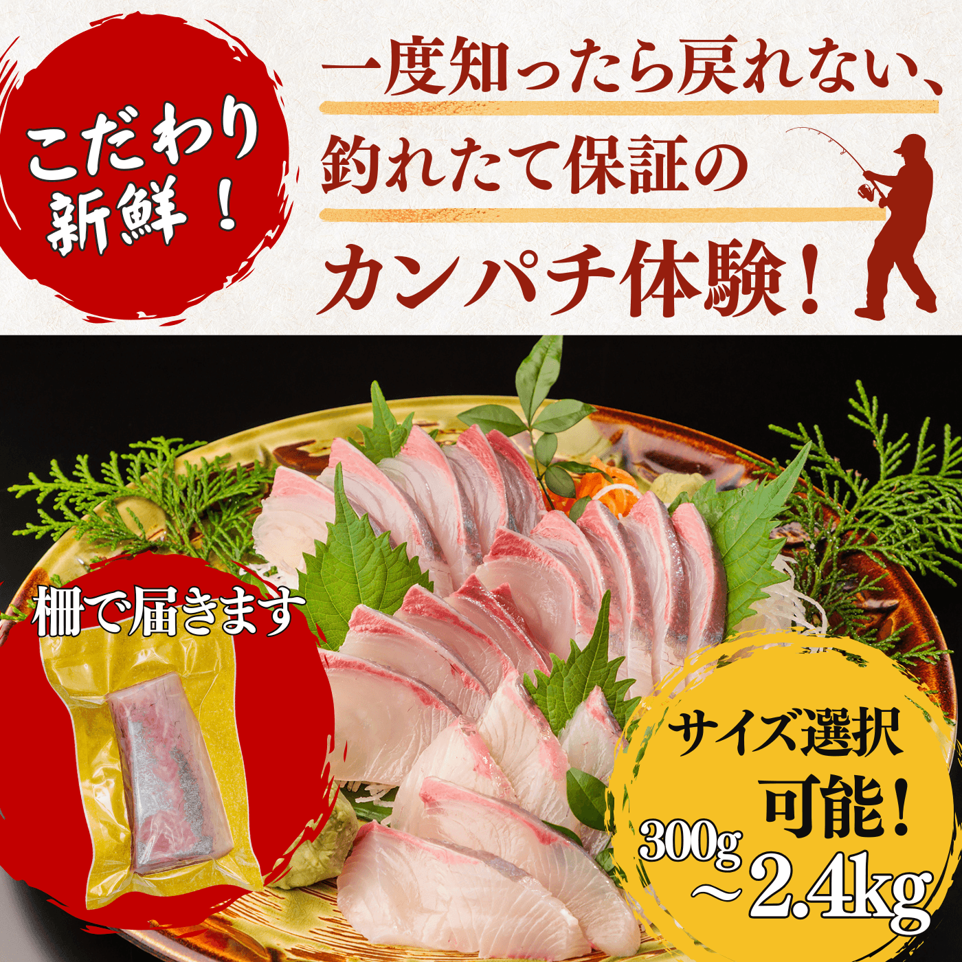 カンパチ ＜刺身1柵　量：300g＞