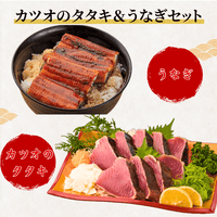 [Gift Set] Seared Bonito (Katsuo no Tataki), 1-2 fillets + Eel from Kochi Prefecture, 1-2 fish