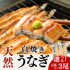 天然うなぎ 白焼き ＜匹数：1~3尾　量：110~480g＞