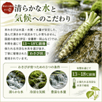 国産 本わさび ＜本数：1~3本　量：40~120g＞