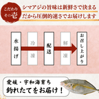 Striped Jack Sashimi ＜1 block, Net Wt. 150g＞