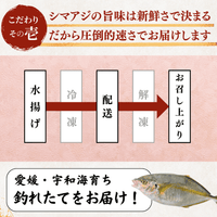 Striped Jack Sashimi ＜1 block, Net Wt. 150g＞