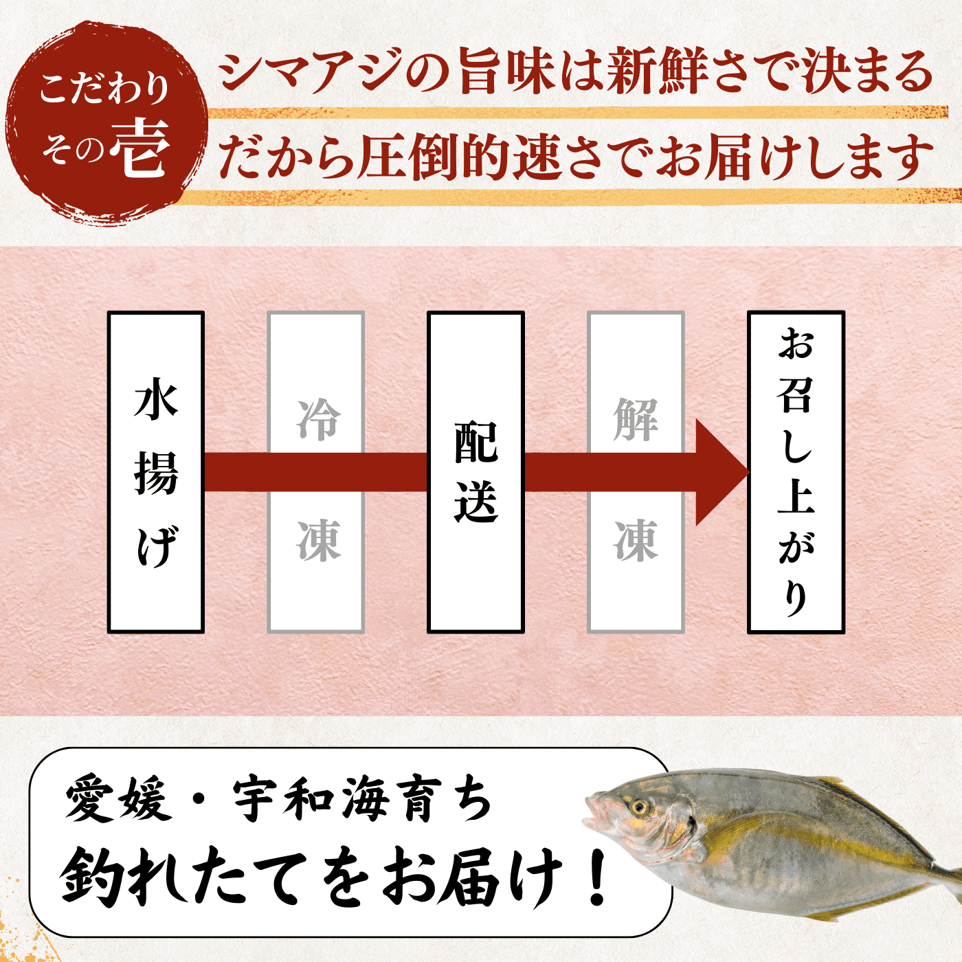 Striped Jack Sashimi ＜1 block, Net Wt. 150g＞