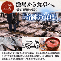 Striped Jack Sashimi ＜1 block, Net Wt. 150g＞