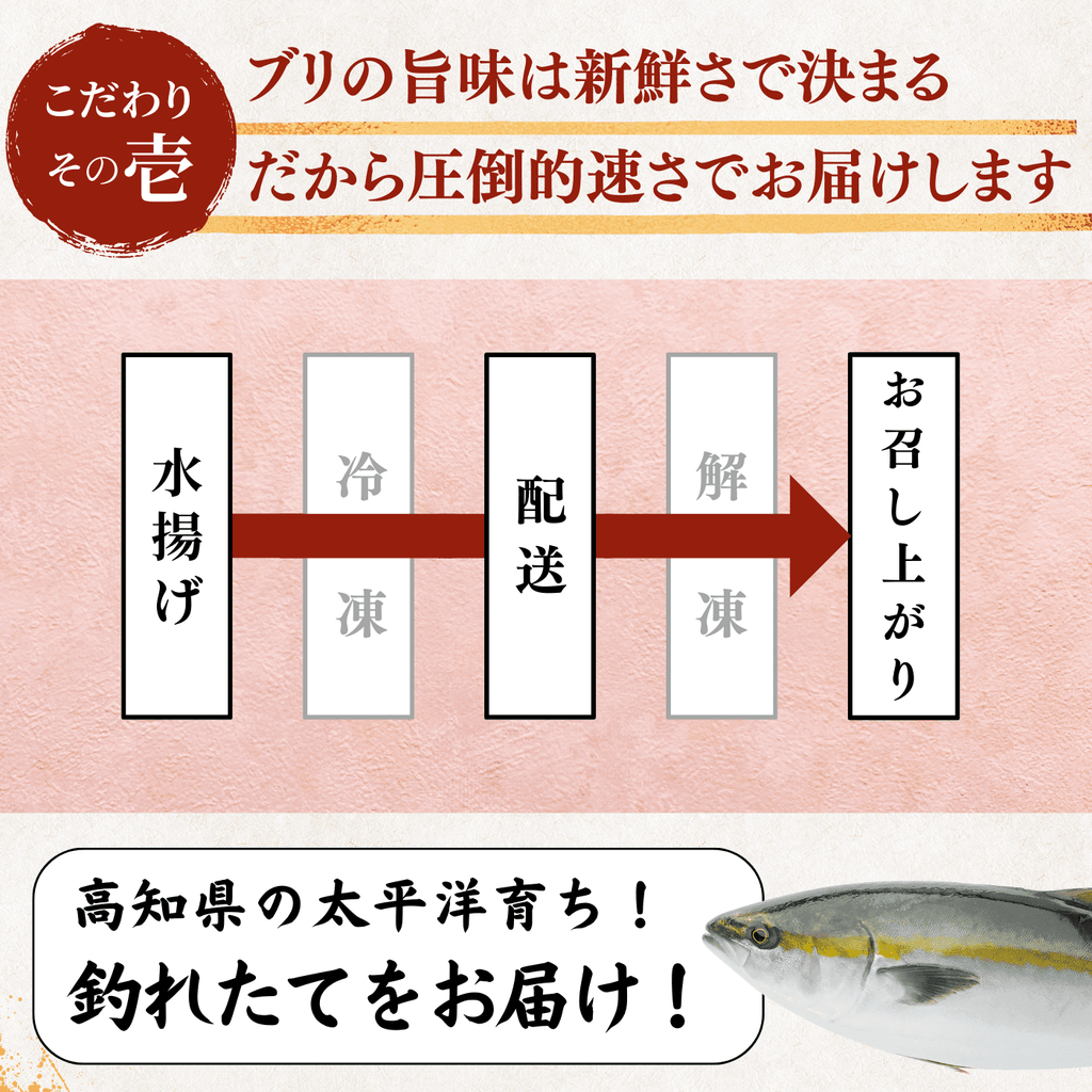 Yellowtail Sashimi Block - 300g