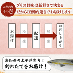 Yellowtail Sashimi Block - 300g