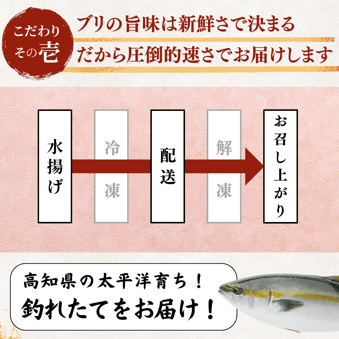 Yellowtail Sashimi Block - 300g