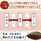Flounder Sashimi + Engawa (fin muscle) <1 block: 170g>