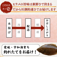 Flounder Sashimi + Engawa (fin muscle) <1 block: 170g>
