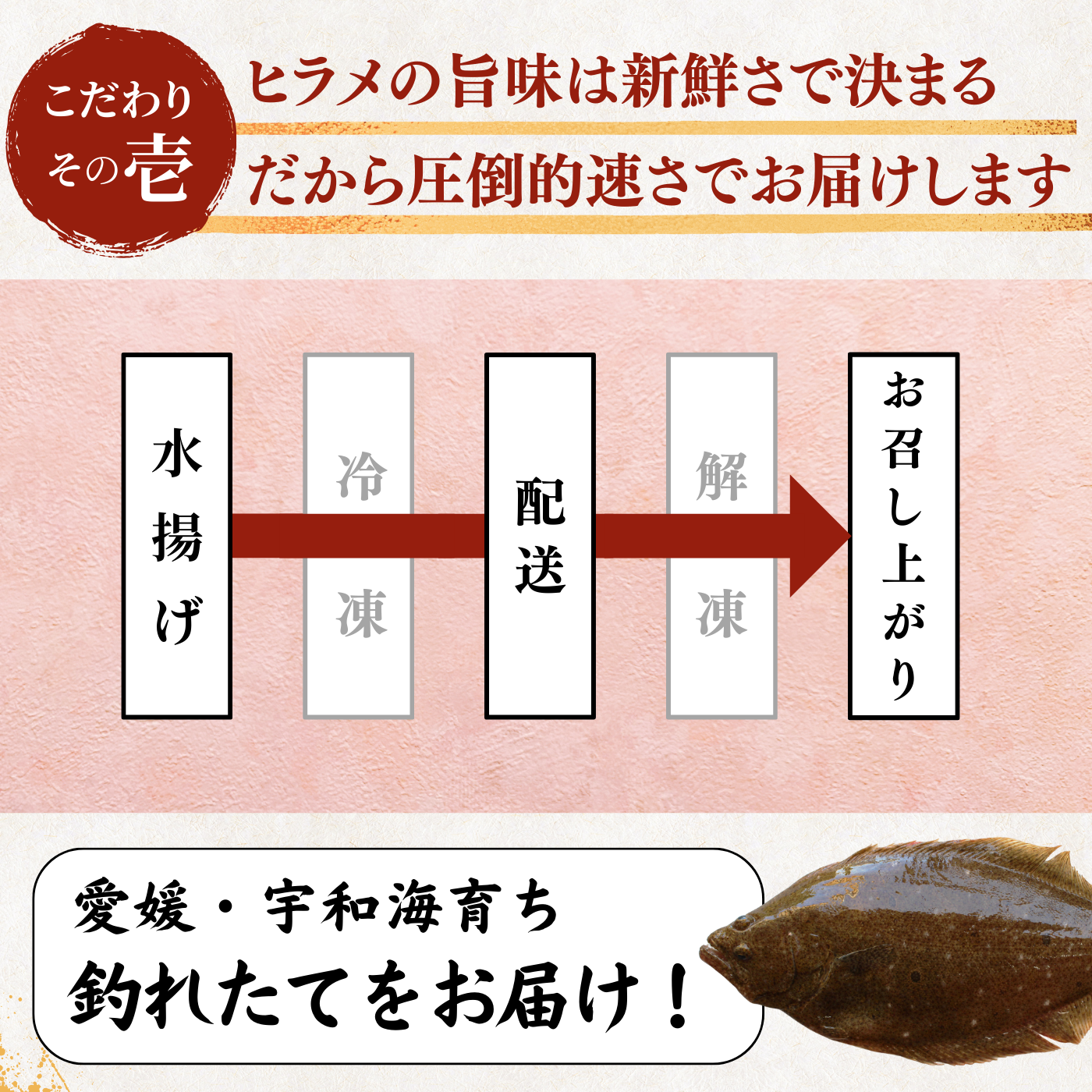 Flounder Sashimi + Engawa (fin muscle) <1 block: 170g>