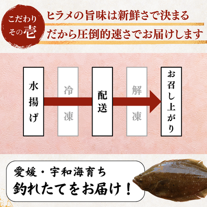ヒラメ お刺身＋えんがわ＜一柵　量：170g＞