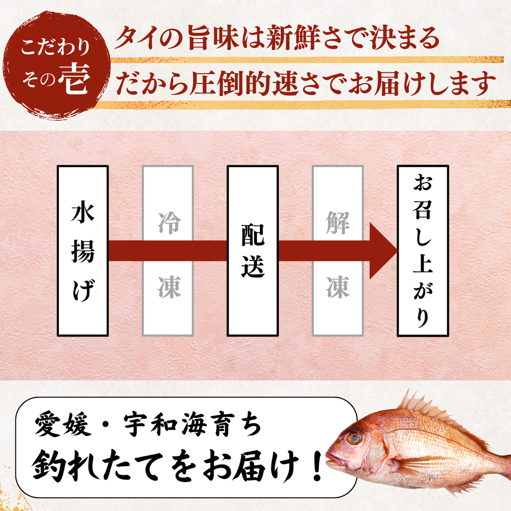 Red Sea Bream Sashimi <1 block, 130g>