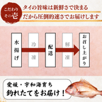 Red Sea Bream Sashimi <1 block, 130g>
