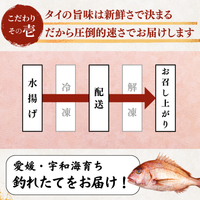 Red Sea Bream Sashimi <1 block, 130g>