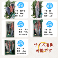 Frozen Bonito Sashimi ＜Number: 1/2 pc (x2) - 3 pcs. Weight: 500-1500g. Servings: 2-9 people.＞