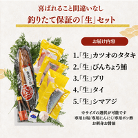 【お刺身セット5種】生カツオのタタキ(1節 or 半節)+ビンチョウマグロ/ブリ/タイ/シマアジ(各柵150g)