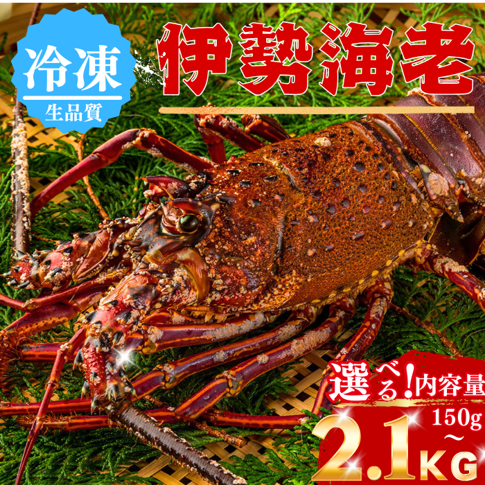 Frozen Spiny Lobster (Quantity: 1-3 lobsters; Weight: 150-2100g; Serves 1.5-6 people)