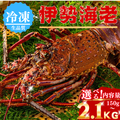 Frozen Spiny Lobster (Quantity: 1-3 lobsters; Weight: 150-2100g; Serves 1.5-6 people)