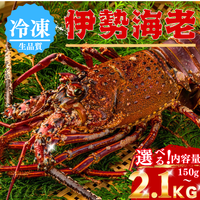 Frozen Spiny Lobster (Quantity: 1-3 lobsters; Weight: 150-2100g; Serves 1.5-6 people)