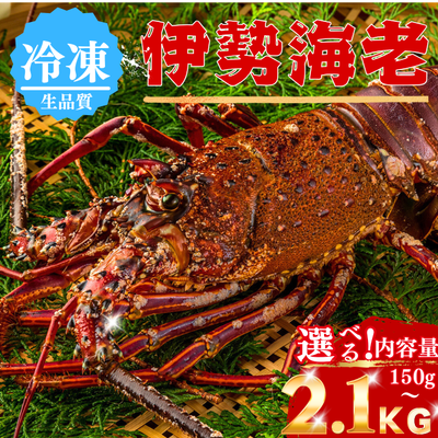 冷凍 伊勢海老 ＜匹数：1~3尾　量：150〜2100g　目安1.5〜6人前＞