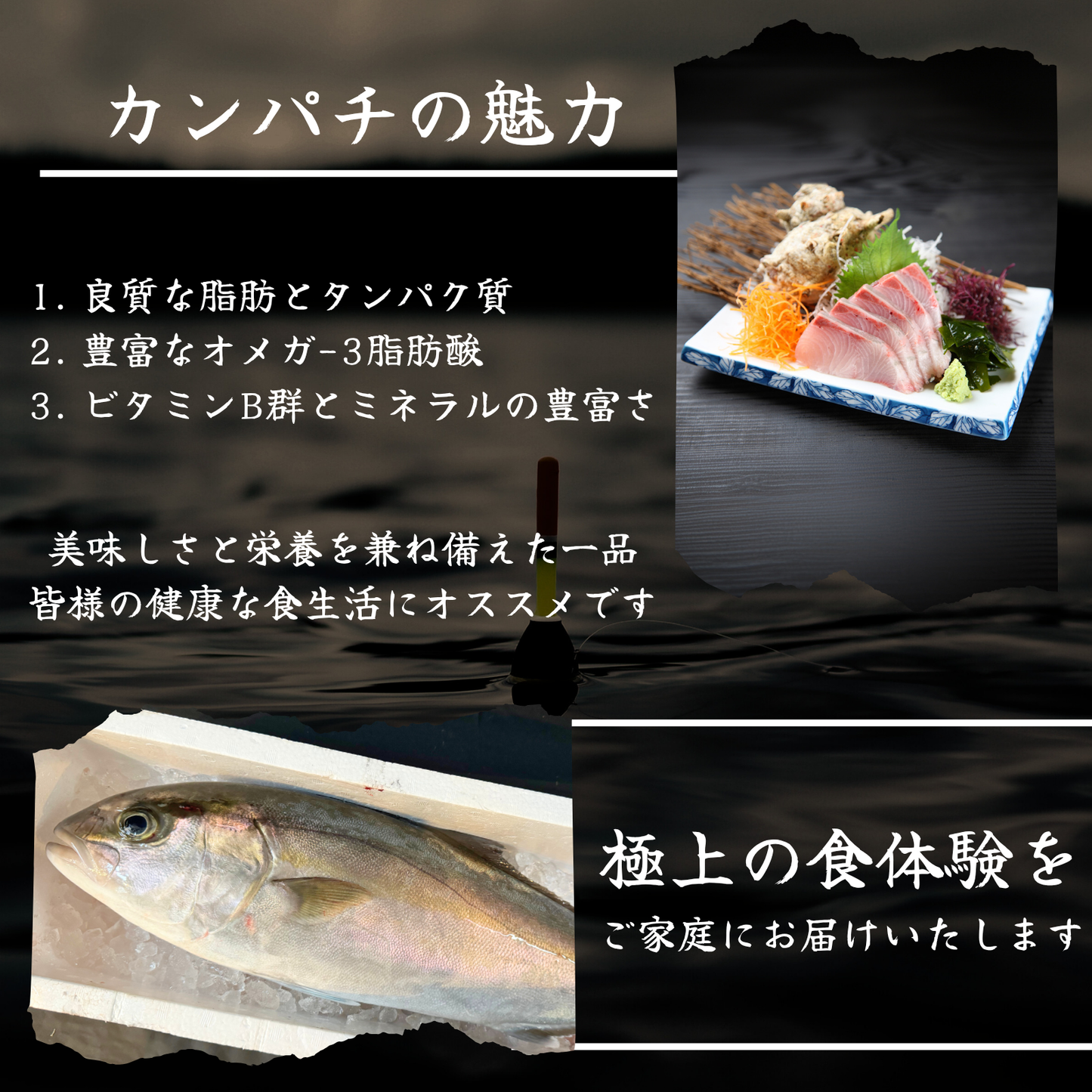 カンパチ ＜刺身1柵　量：300g＞
