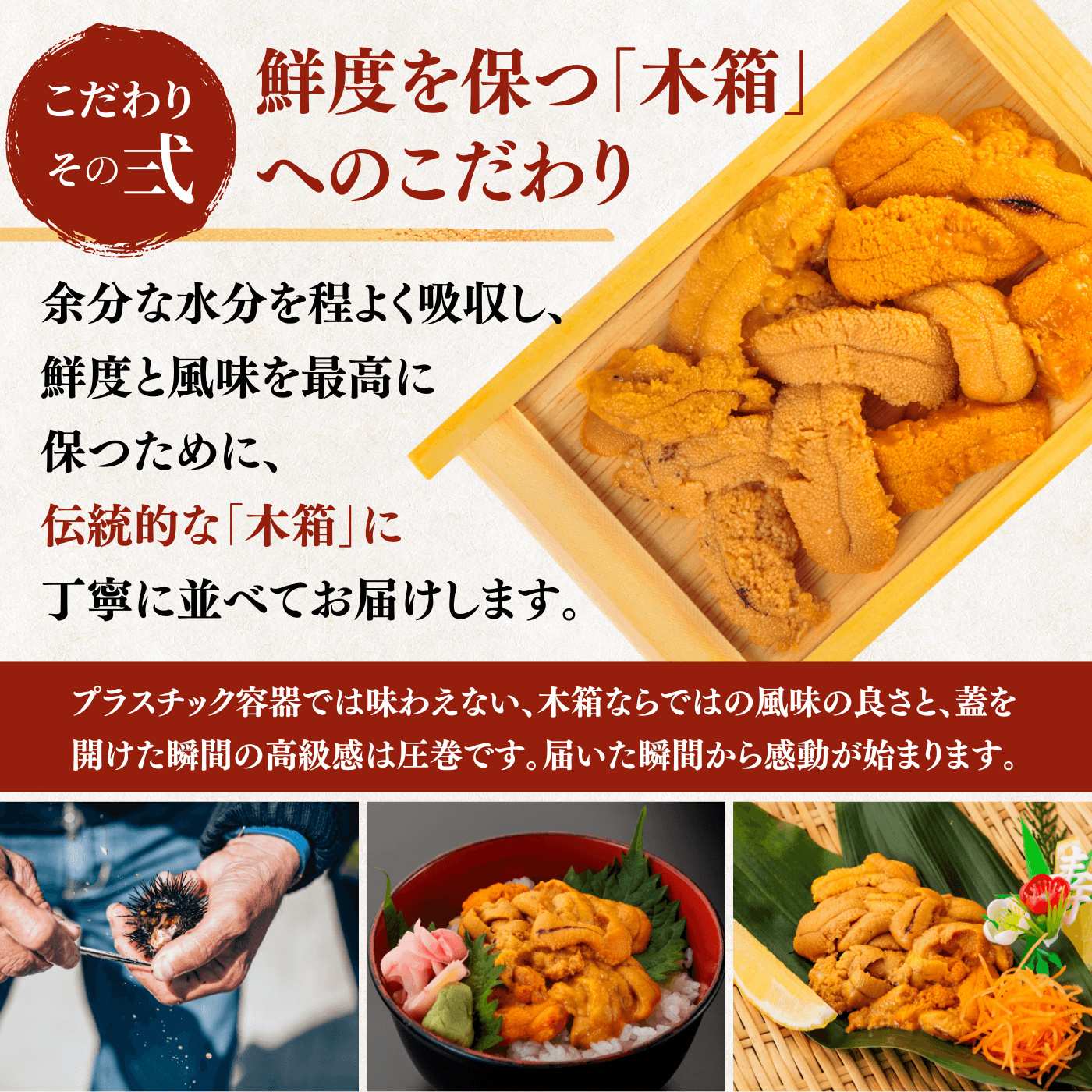 【冷蔵】生うに　小川商店　＜1箱：60g＞
