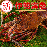 活き 伊勢海老